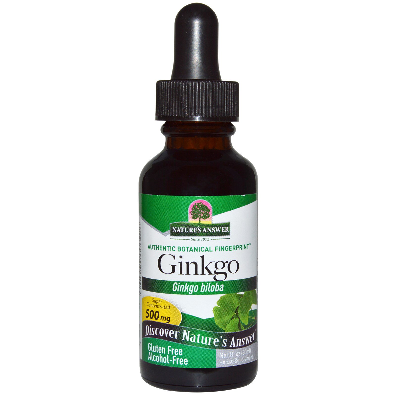 Comprar Nature's Answer, Ginkgo Biloba, Livre de Álcool, 500 mg, 1 fl oz (30 ml)