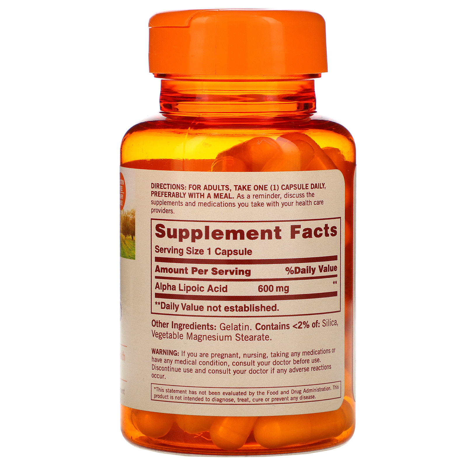 Comprar Sundown Naturals, Ácido Alfalipoico, 600 mg, 60 Cápsulas - Imagem 2