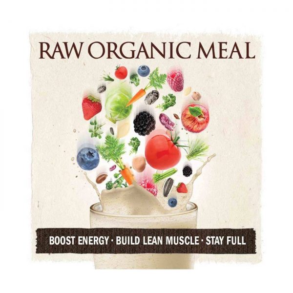 Comprar RAW Meal Garden of Life Chocolate Cacao 509 g - Imagem 4