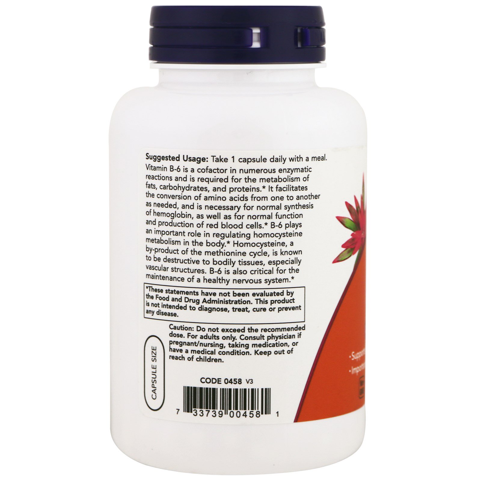 Comprar Now Foods, B-6, 100 mg, 250 Cápsulas - Imagem 3