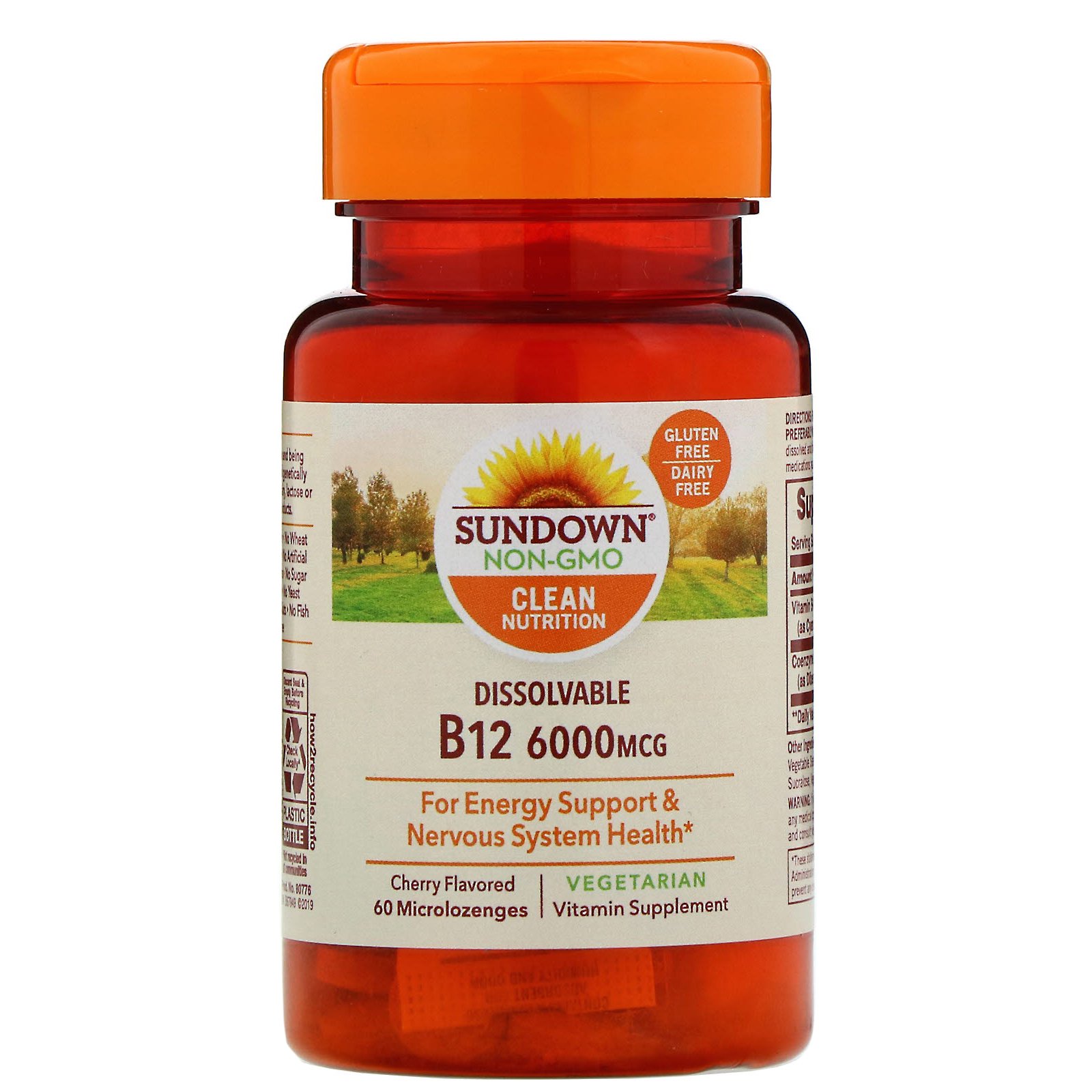 Comprar Sundown Naturals, B12 Solúvel, Sabor Cereja, 6.000 mcg, 60 Micropastilhas