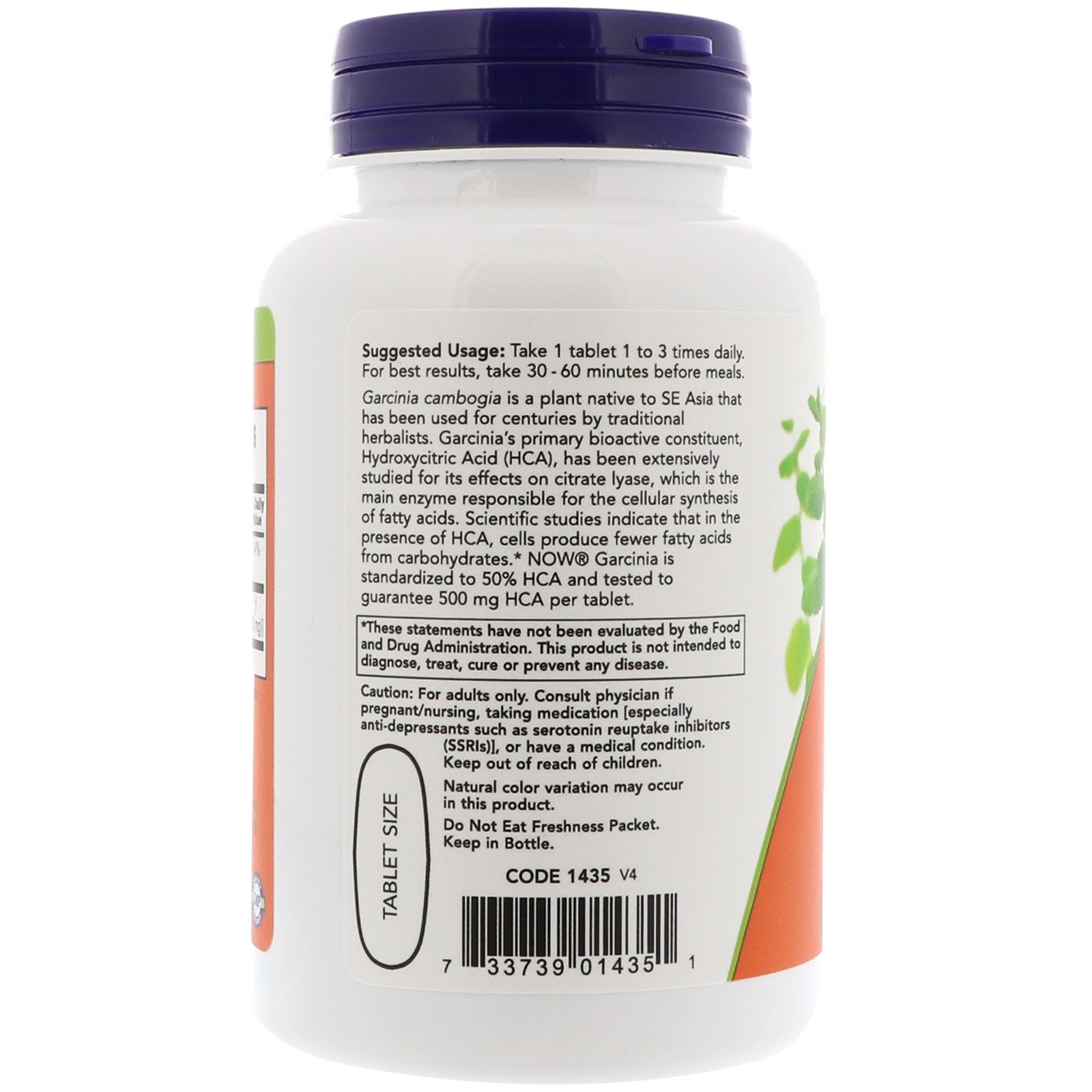 Comprar Now Foods, Garcinia, 1.000 mg, 120 Comprimidos - Imagem 3