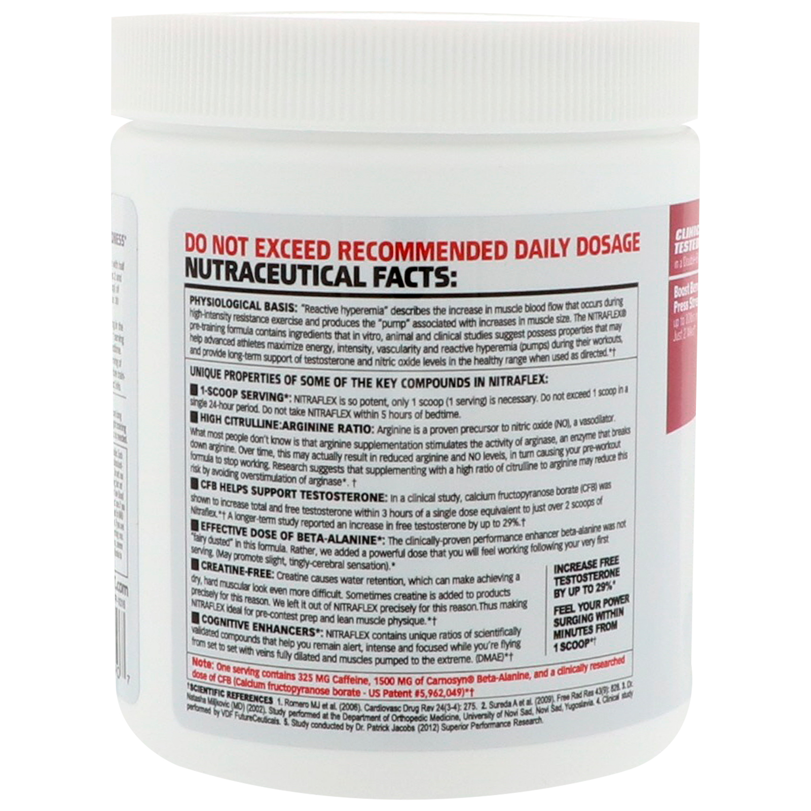 Comprar GAT, NITRAFLEX, Fruit Punch, 10.6 oz (300 g) - Imagem 3
