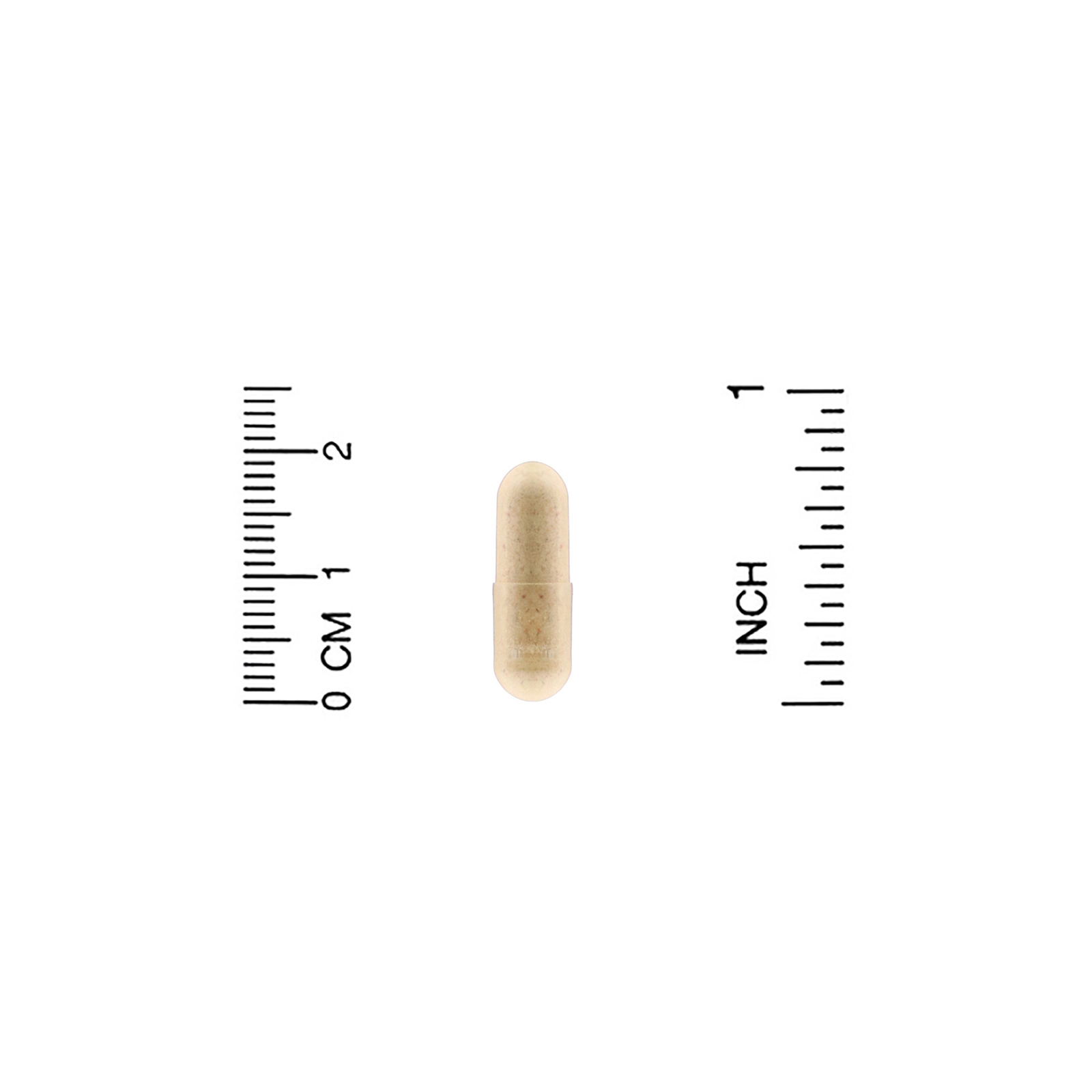 Comprar Natrol, Isoflavonas de soja, 50 mg, 120 Cápsulas - Imagem 3