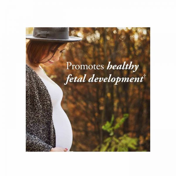 Comprar Garden of Life, mykind Organics MultiVitaminas Pré-Natal, Vegano - 180 Tabletes - Imagem 5