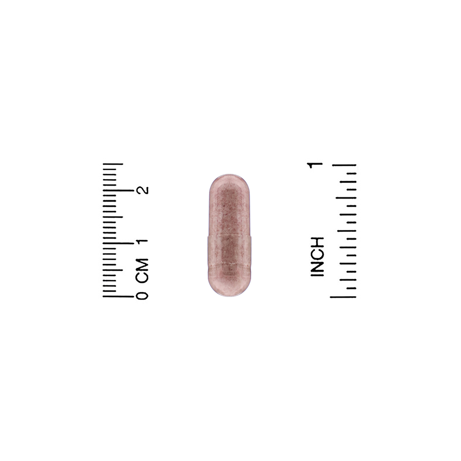 Comprar Life Extension, Berry Complete, 60 Cápsulas Vegetarianas - Imagem 3