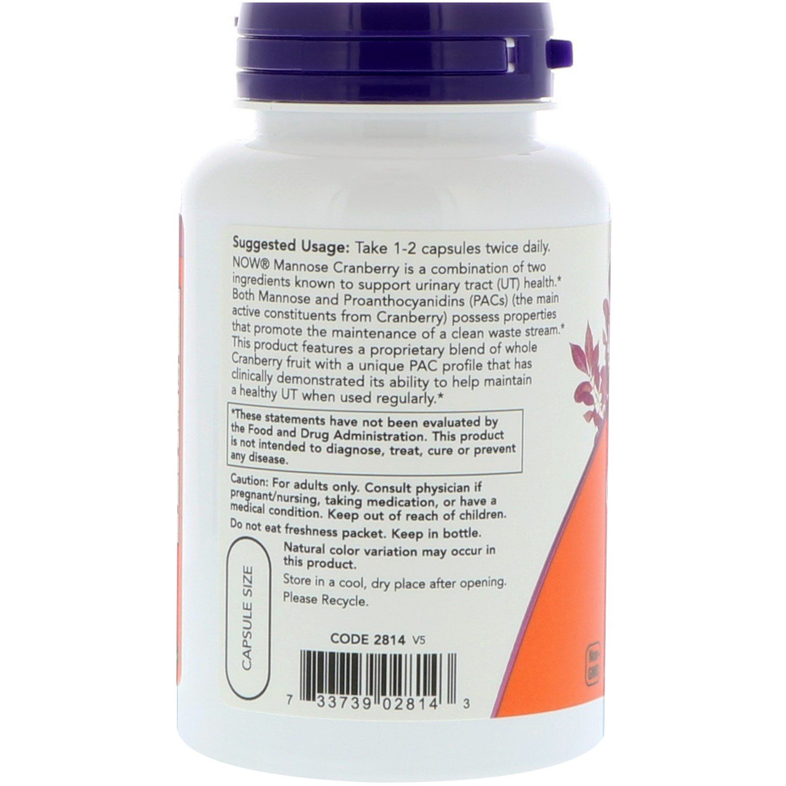 Comprar Now Foods, Manose de Cranberry, 90 cápsulas vegetais - Imagem 3