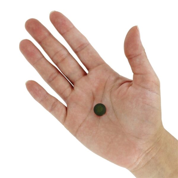 Comprar Chlorella Orgânica 500 mg. - 200 Tablets NOW Foods - Imagem 5