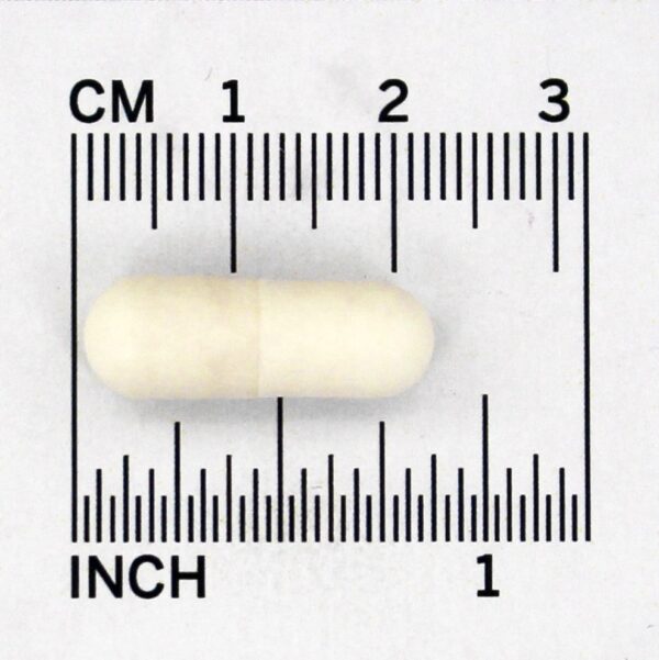 Comprar Gr8-Dophilus - Cápsulas vegetarianas 120 NOW Foods - Imagem 4