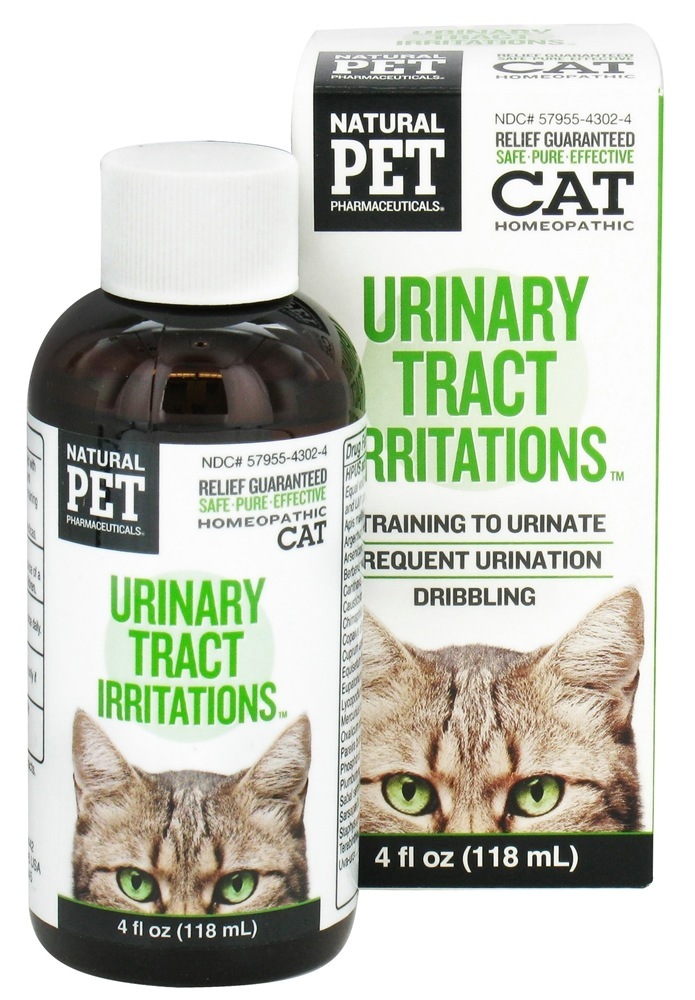 Comprar Infecções do trato urinário do animal de estimação natural para felinos grandes - 4 fl. oz. King Bio