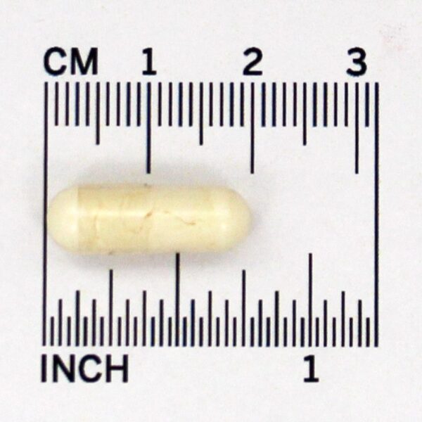 Comprar Suplemento Probiótico ao Suplemento Ideal ao Intestino 299V 10 Bilhões de UFC - Cápsulas vegetarianas 30 Jarrow Formulas - Imagem 5
