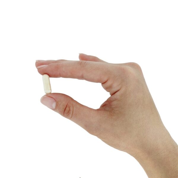 Comprar Suplemento Probiótico ao Suplemento Ideal ao Intestino 299V 10 Bilhões de UFC - Cápsulas vegetarianas 30 Jarrow Formulas - Imagem 6