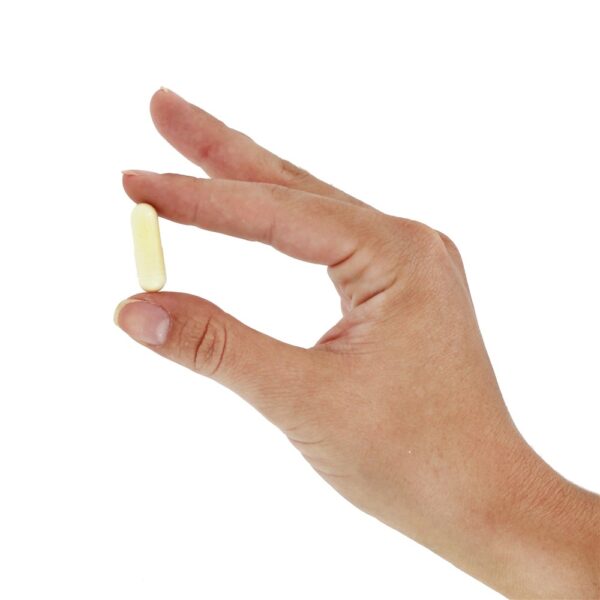 Comprar Ácido Alpha-Lipóico 600 mg. - Cápsulas 150 Healthy Origins - Imagem 5