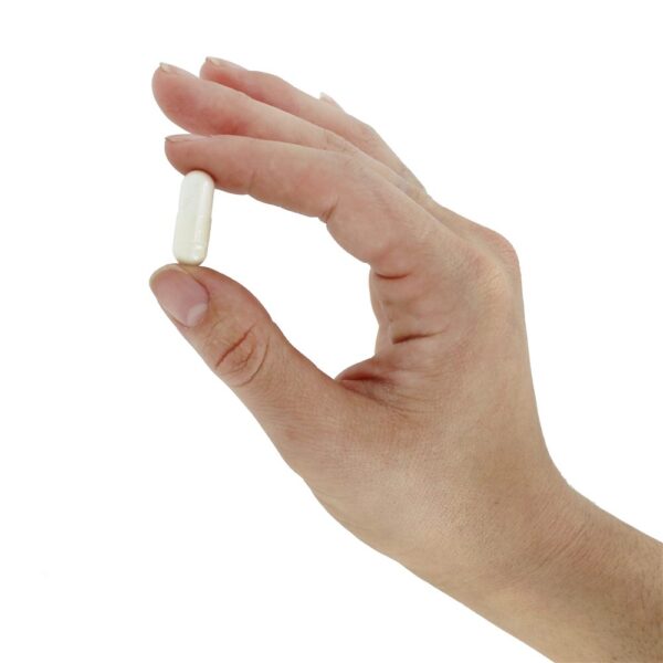 Comprar Colágeno Marinho com Ácido Hialurônico e Vita-Mineral para Juventude em Cápsulas de 2000 mg. - Cápsulas 120 NeoCell - Imagem 5