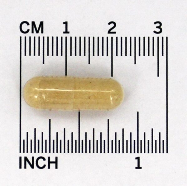 Comprar Shatavari Hormonal Balance - Cápsulas vegetarianas 90 Organic India - Imagem 4