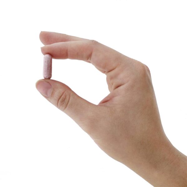 Comprar Cereja Ginja 1000 mg. - Cápsulas vegetarianas 90 Solgar - Imagem 6