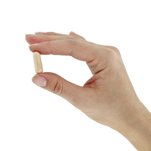 Comprar RAW Probiótico para Mulheres 50+ Anos 85 Bilhões de UFC - Cápsulas vegetarianas 90 Garden of Life - Imagem 7
