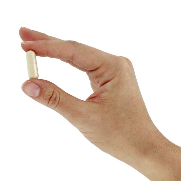 Comprar CRU Enzimas Mulheres 50 & Mais sábio - Cápsulas vegetarianas 90 Garden of Life - Imagem 6