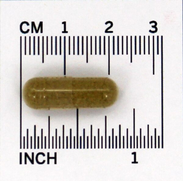 Comprar Super Colon Cleanse - Apoio Para Constipação Ocasional - Cápsulas 60 Health Plus - Imagem 5