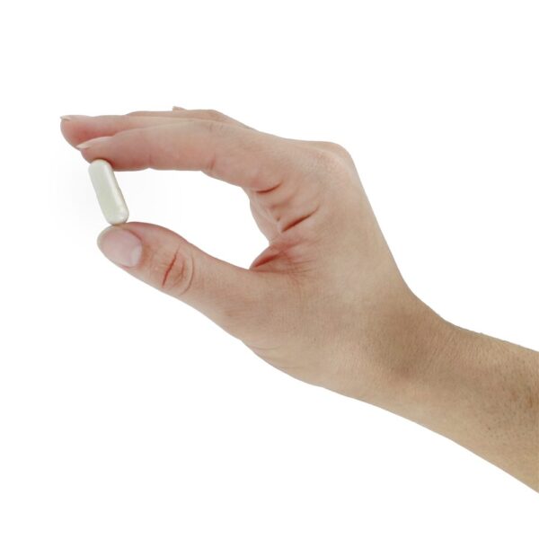 Comprar Bone-Up - Cápsulas 360 Jarrow Formulas - Imagem 5