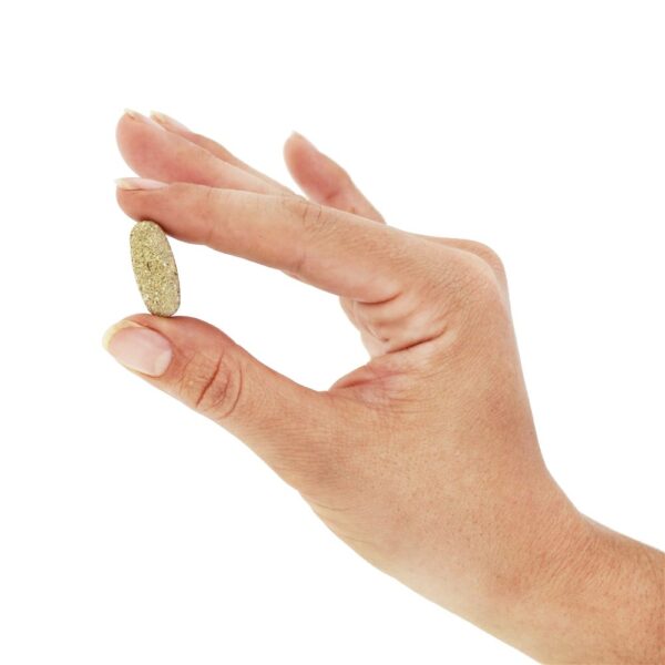Comprar Alive! Multivitamínico Diário de Ultra Potência Um Por Dia - 60 Tablets Nature's Way - Imagem 6