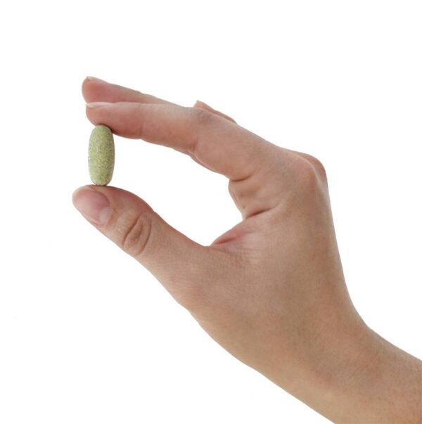 Comprar Alive! Multivitamínico & Energizador Integral Para Homens Ultra Potência - 60 Tablets Nature's Way - Imagem 6