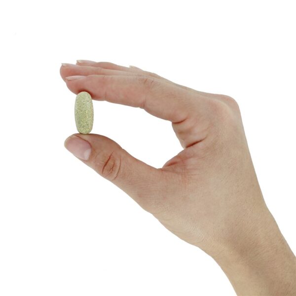 Comprar Alive! para Homens Com +50 Anos Multivitamínico & Energizador Integral Um Por Dia Ultra Potência - 60 Tablets Nature's Way - Imagem 6