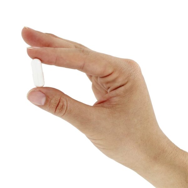 Comprar Monolaurina 600 mg. - Cápsulas 90 (anteriormente Cardiovascular Research ) Ecological Formulas - Imagem 5