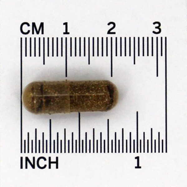 Comprar Guggul para Manutenção do Colesterol - Cápsulas vegetarianas 60 Himalaya Herbal Healthcare - Imagem 5
