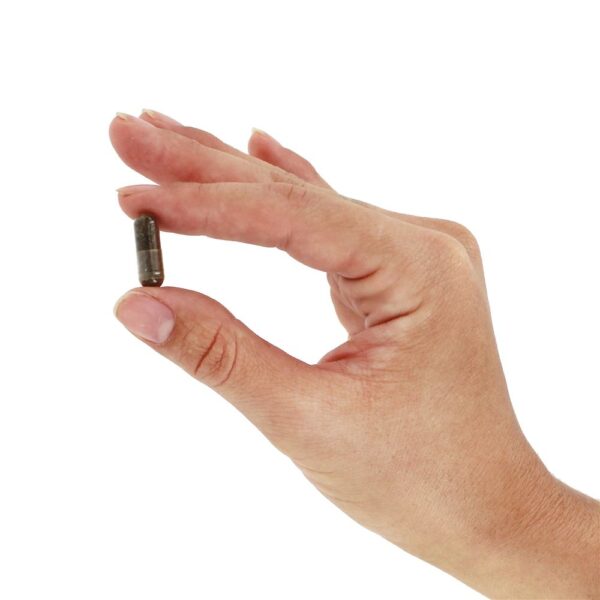 Comprar GlucoCare para a saúde natural da glicose do sangue - Cápsulas vegetarianas 180 Himalaya Herbal Healthcare - Imagem 6
