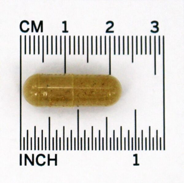 Comprar Fórmula Rápida Para o Cólon (Parte 1) - Cápsulas vegetarianas 100 Dr. Christopher's Original Formulas - Imagem 4