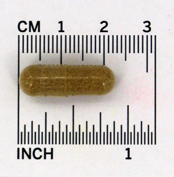 Comprar Fórmula Sinus Plus - Cápsulas vegetarianas 100 Dr. Christopher's Original Formulas - Imagem 4