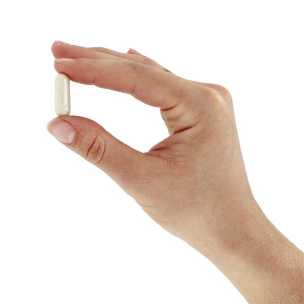 Comprar Beta-Glucano com Immunenhancer Xtra Força 250 mg. - Cápsulas vegetarianas 60 NOW Foods - Imagem 5