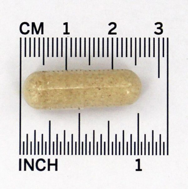 Comprar Cordyceps 750 mg. - Cápsulas vegetarianas 90 NOW Foods - Imagem 4