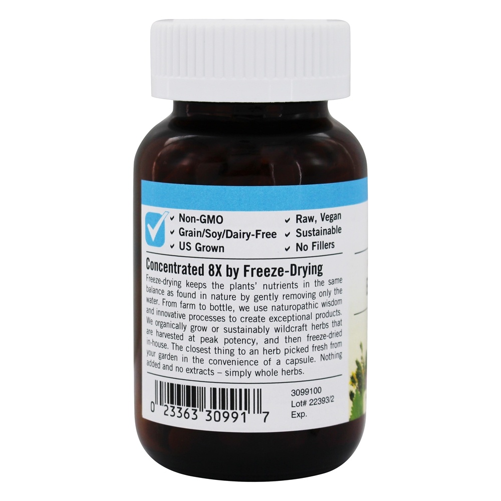 Comprar Suco de Beterraba Fresco Liofilizado 440 mg. - Cápsulas vegetarianas 90 Eclectic Institute - Imagem 3