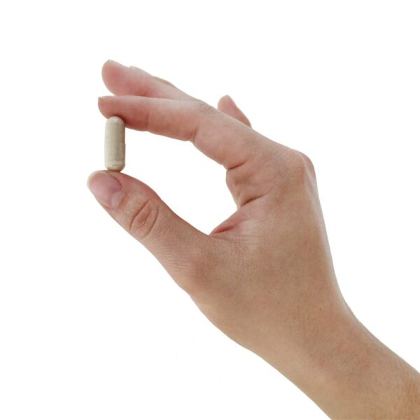 Comprar Vitamin Code Raw Pré-natal Multi - Cápsulas vegetarianas 180 Garden of Life - Imagem 6