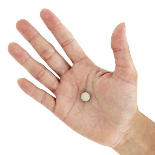 Comprar Força óssea Cuidado Guias Minúsculas - 240 Tablets New Chapter - Imagem 6