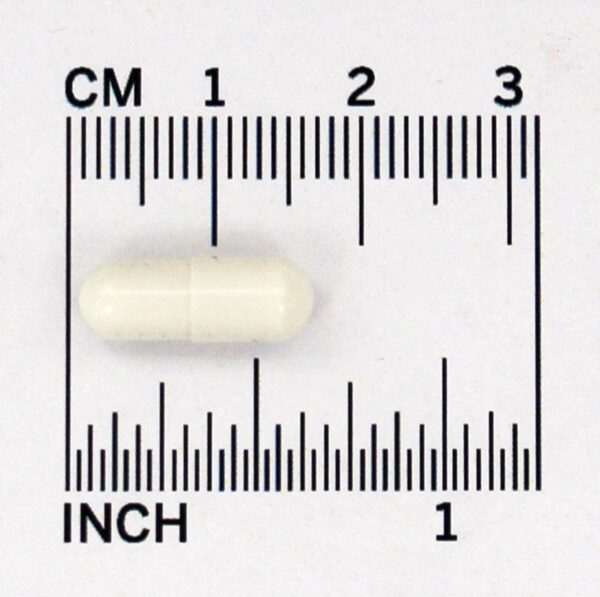 Comprar Digestive Advantage Fórmula de Defesa Contra a Lactose - Cápsulas 32 Schiff - Imagem 5