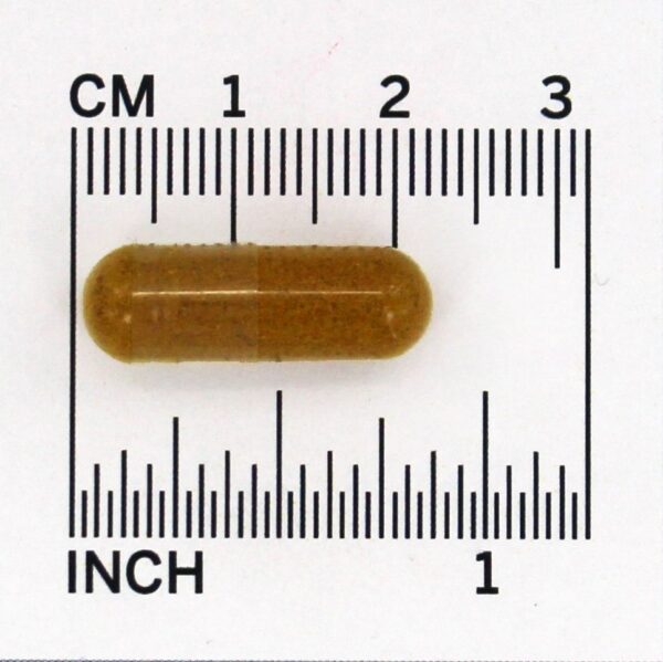 Comprar Combinações de ervas Cúrcuma 900 mg. - Cápsulas vegetarianas 100 Kroeger Herbs - Imagem 4