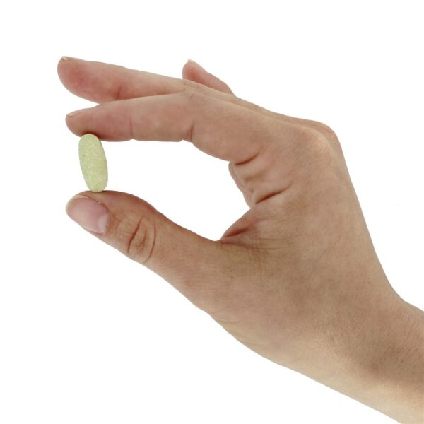Comprar Absorção máxima da fórmula óssea de cálcio vivo 1300 mg . - 120 Tablets Nature's Way - Imagem 6