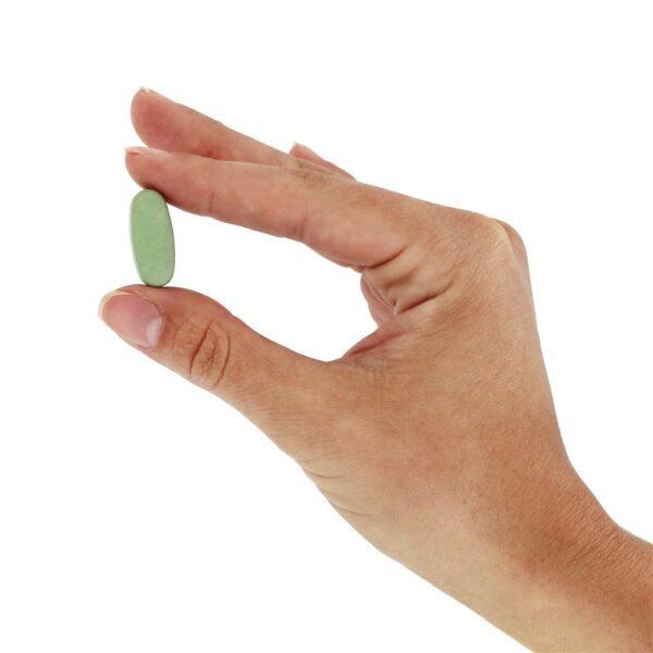 Comprar Sugar Balance Plus Para o Controle da Insulina, Níveis de Glicose e Peso - 90 Comprimidos vegetarianos GSL Technology - Imagem 6