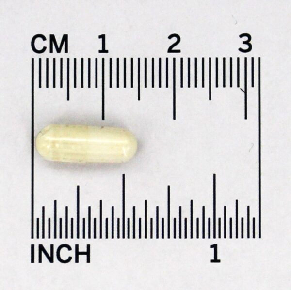 Comprar Metilfolato - Cápsulas 60 Jarrow Formulas - Imagem 4