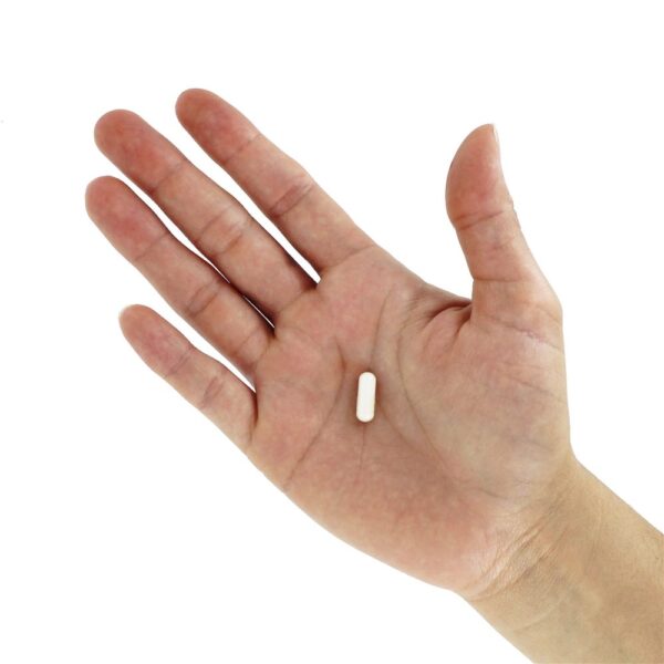 Comprar Metilfolato - Cápsulas 60 Jarrow Formulas - Imagem 5