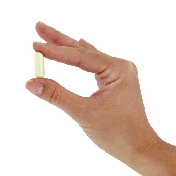 Comprar Ácido Alpha-Lipóico 600 mg. - Cápsulas vegetarianas 180 Doctor's Best - Imagem 5