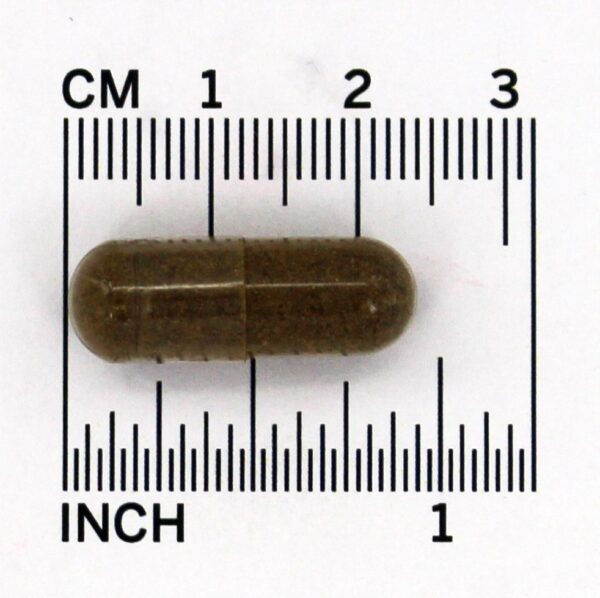 Comprar Bacopa Padronizada 500 mg. - Cápsulas vegetarianas 90 Nature's Answer - Imagem 5