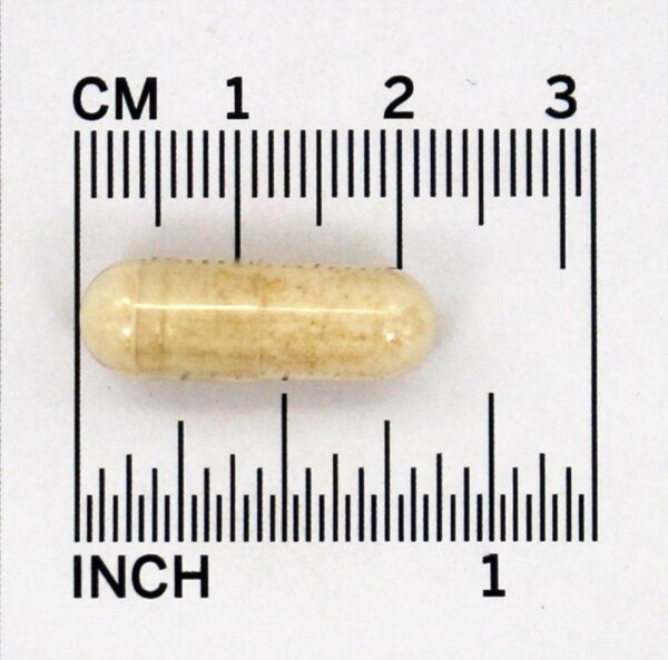 Comprar Udo Escolha Super 8 Oi-Potência Probiotic 42 Bilhões de UFC - Cápsulas 60 Flora - Imagem 4