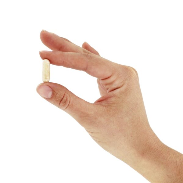 Comprar Udo Escolha Super 8 Oi-Potência Probiotic 42 Bilhões de UFC - Cápsulas 60 Flora - Imagem 5
