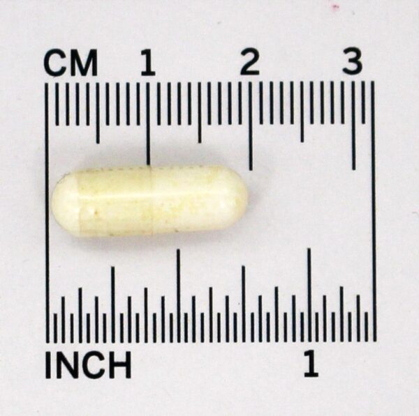 Comprar Probiótico Acidophilus 100 mg. - Cápsulas 150 Natrol - Imagem 4