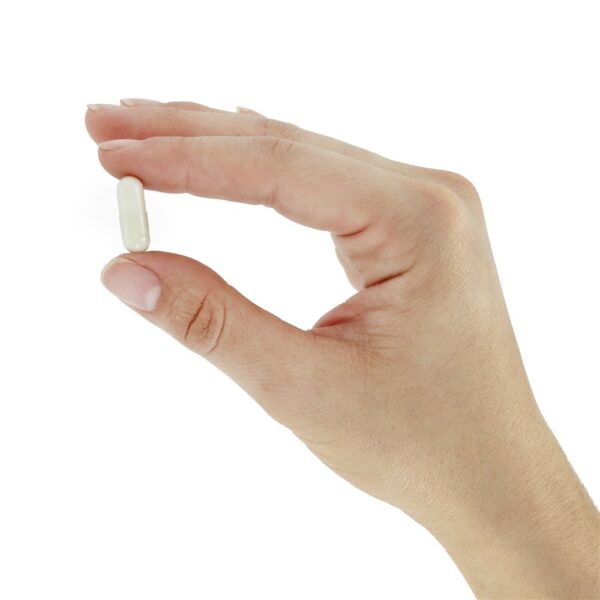 Comprar Probiótico Acidophilus 100 mg. - Cápsulas 150 Natrol - Imagem 5
