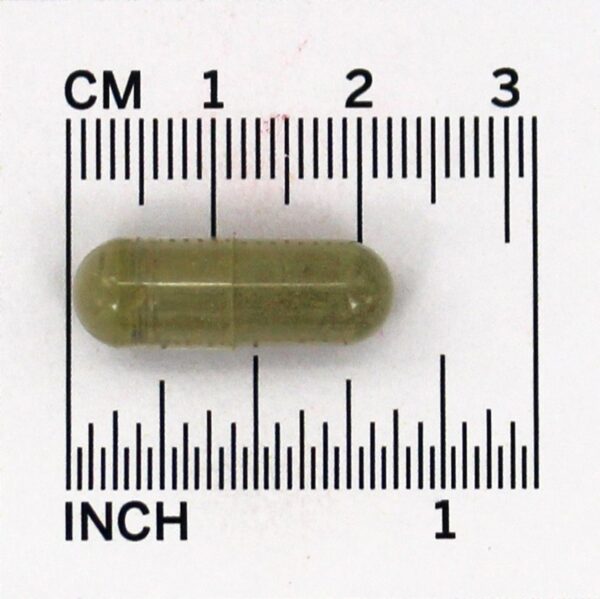 Comprar Sangue Saudável com Código de Vitamina - Cápsulas vegetarianas 60 Garden of Life - Imagem 5